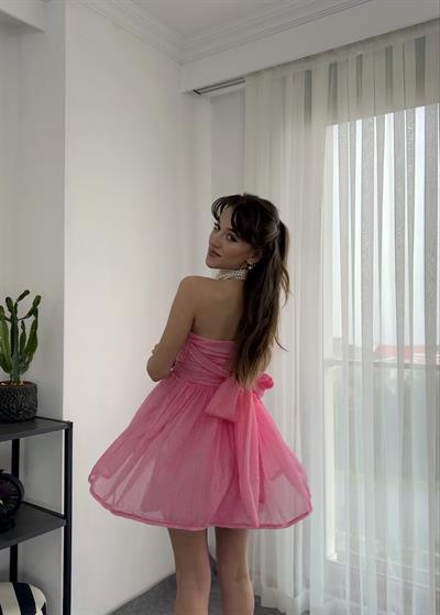 Liona Mini Fiyonklu Pembe Elbise 