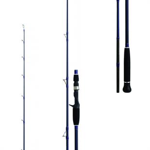 Daiwa Exceler Oceano 198cm MAX250 Olta Kamışı