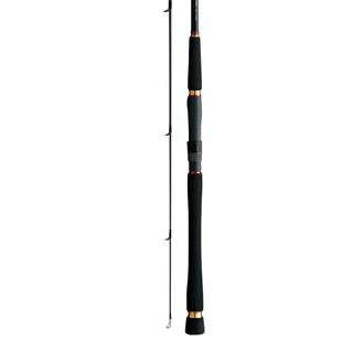 Daiwa Seabass Hunter X 290cm Olta Kamışı