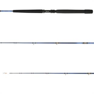 Daiwa Tanacom 2.00m 250-1000gr 2P Bot Kamışı