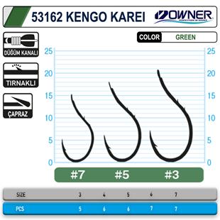Owner 53162 Kengo Karei S. Green İğne
