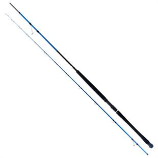 Ryuji Shore Game Fuji 2.95m 30-100gr 2P Shore Jig Kamış