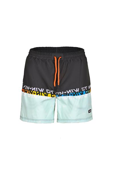 Fujin Pro Angler Short Mayo Anthracite Turquoise