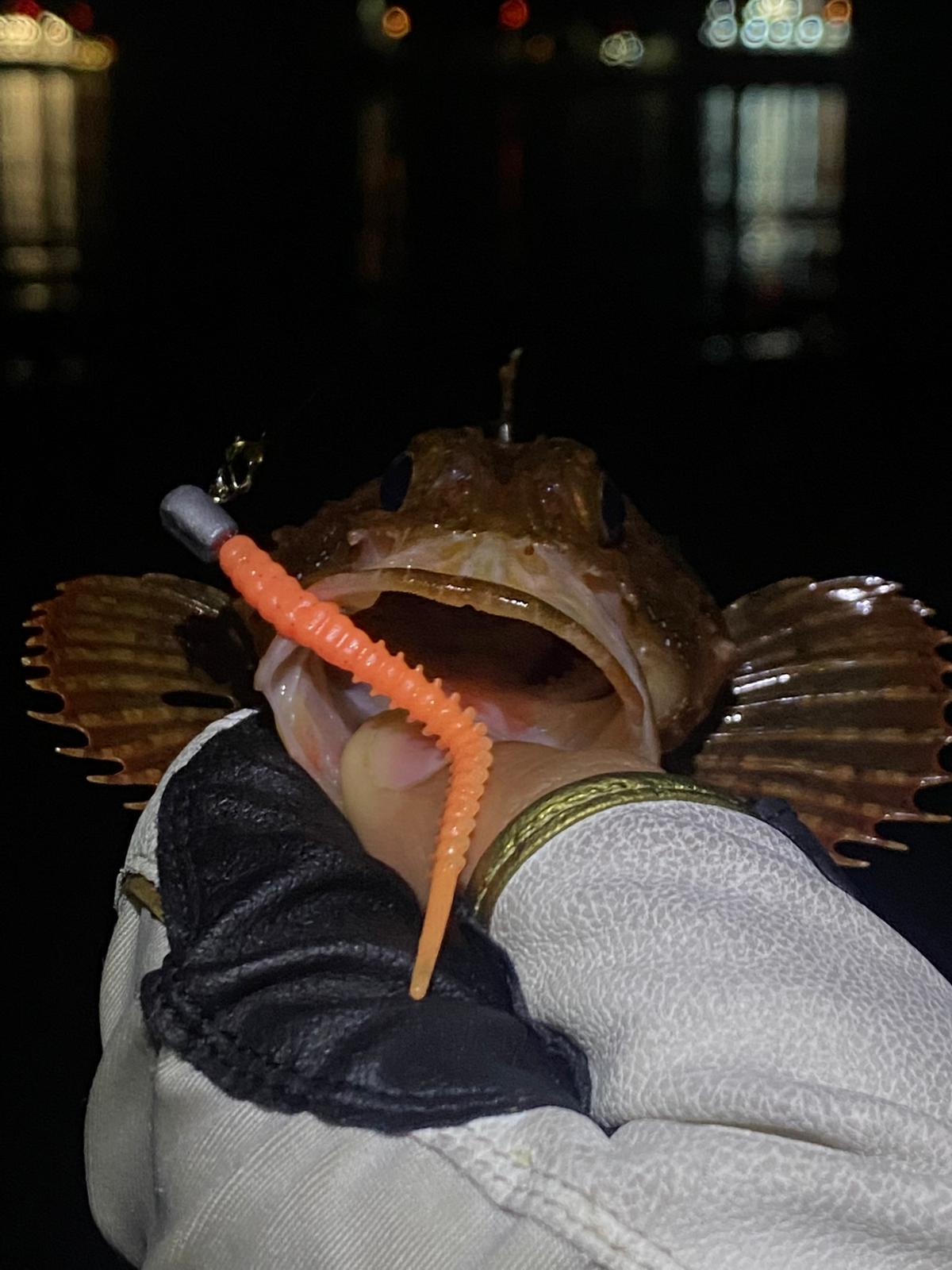 Fujin Bio Worm sahada kullanım