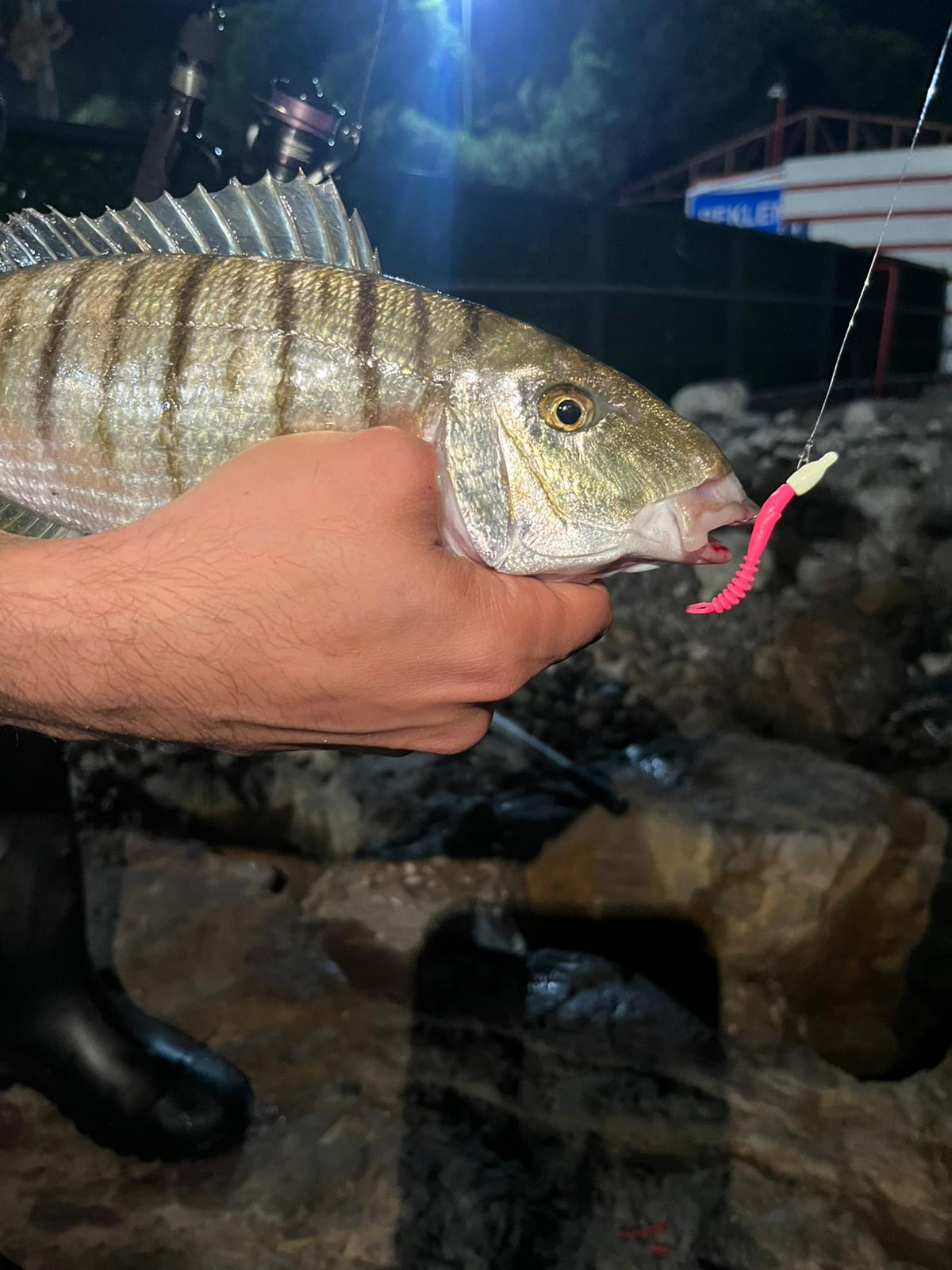 Fujin Bio Meru sahada kullanım