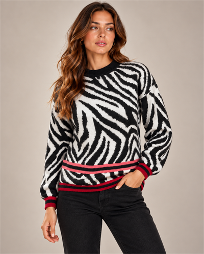 Zebra Desenli Kazak