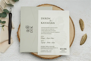9269 - Ekonom Davetiye