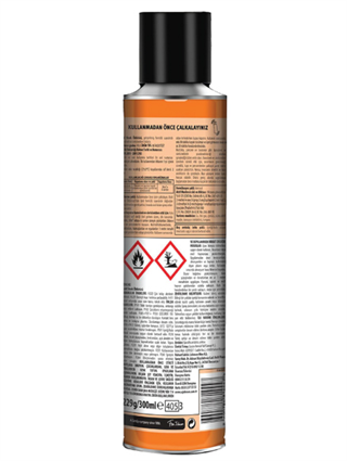 Raid Sinek İlacı 300 ml