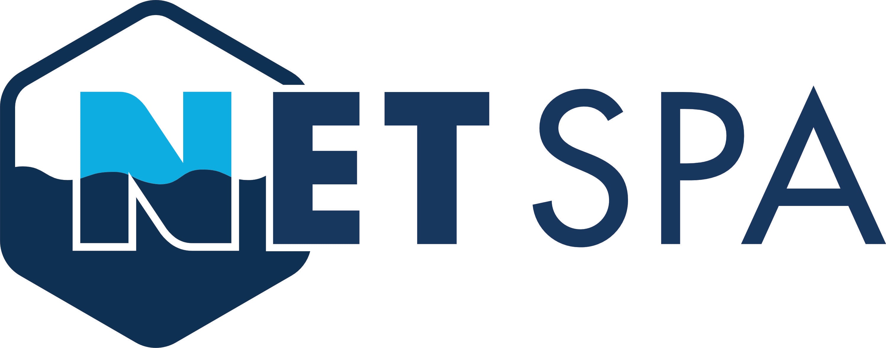 NetSPA