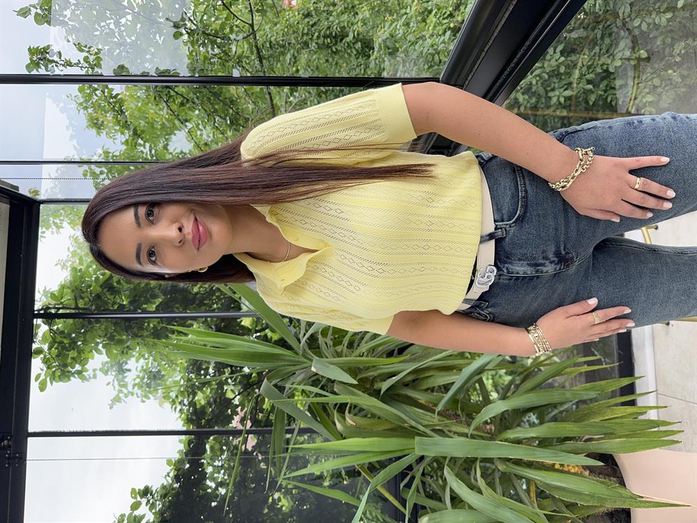 Polo Yaka Ajurlu Kısa Kol Triko Sarı