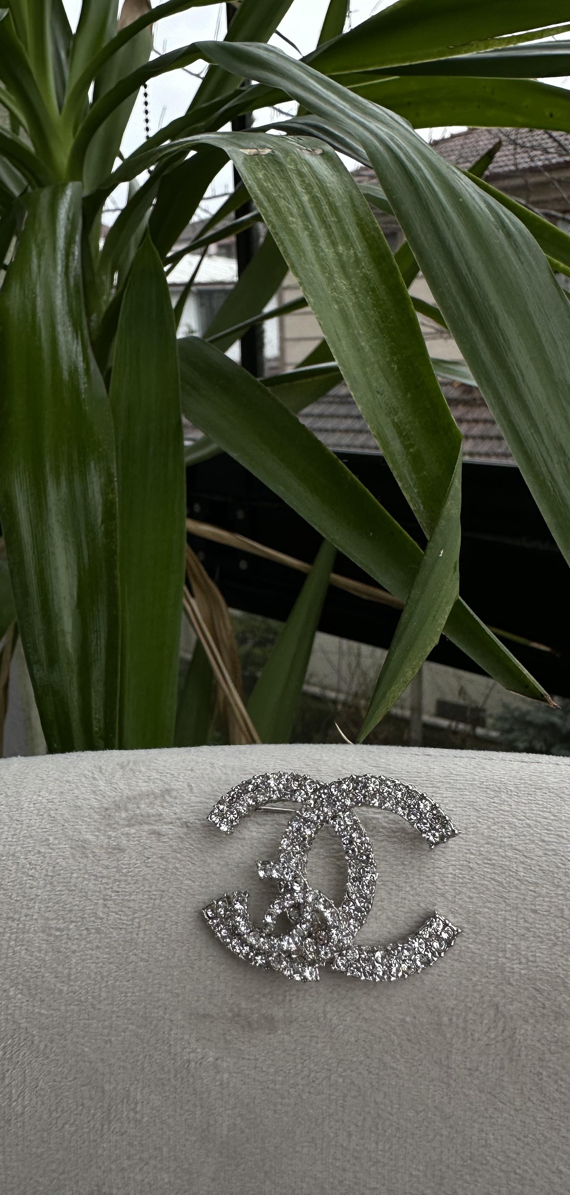 CC Detaylı Gümüş Broş 