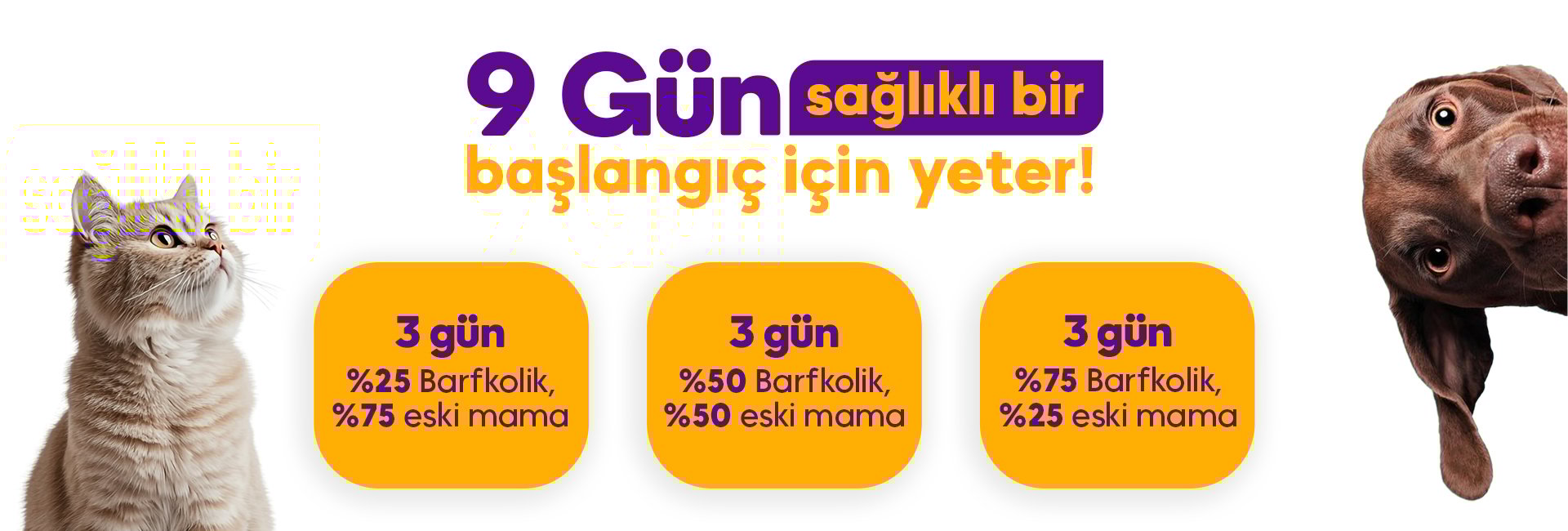 9 Gün