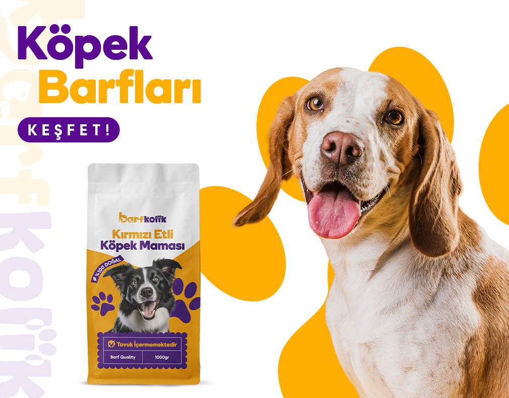 Köpek Barfları