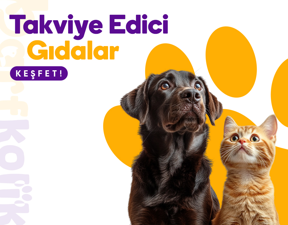 TAKVİYE EDİCİ GIDALAR