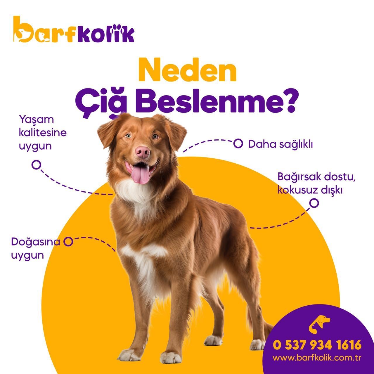 BARFFOOD 20 KG 500 GR