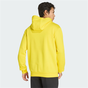 ENT26 HOODY