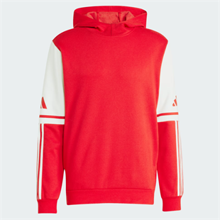 SQ25 SW HOOD