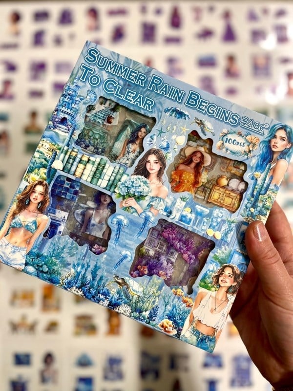 Aesthetic Dreamy Girls Yaz Temalı 4 Bölüm 100 Yaprak 435 Adet Kutu Sticker Seti/Etiket/Çıkartma
