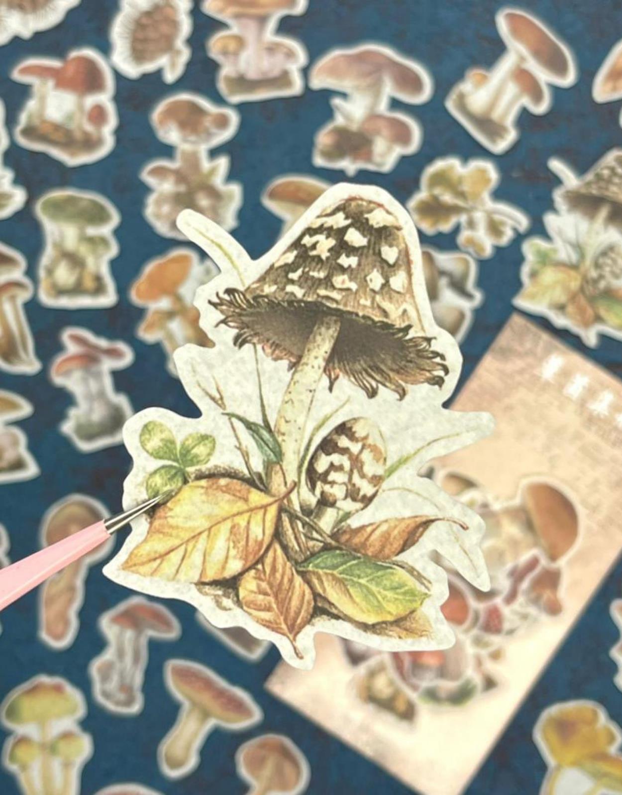 Mantar Desenli Vintage 60 Adet Sticker Set  / Çıkartma/ Etiket / Bullet Journal / Scrapbook