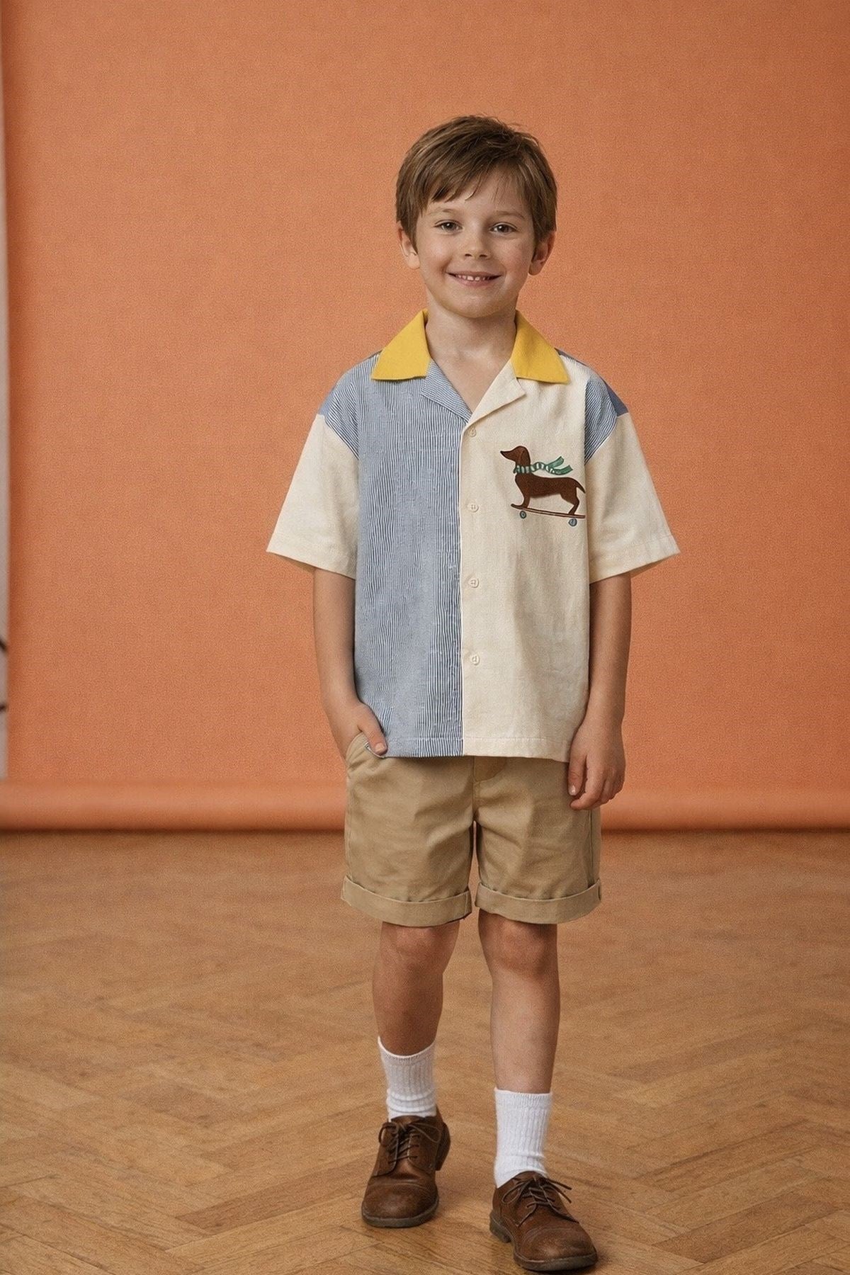 Köpek Nakışlı Renk Bloklu Gömlek