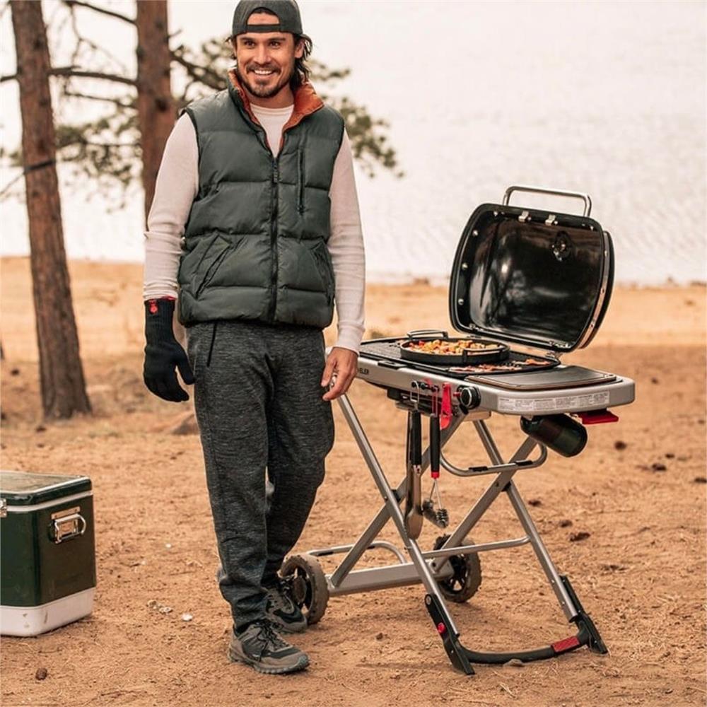 9010075 WEBER TRAVELLER