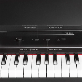 The ONE SK-TOK 61 Tuş Hassasiyetli Akıllı Org, MIDI Klavye - Siyah