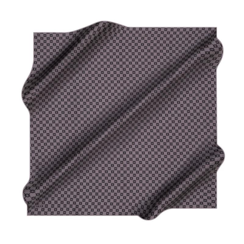 Aker Silk Scarf - 2025 Spring-Summer - 8991701-371 - Satin Silk