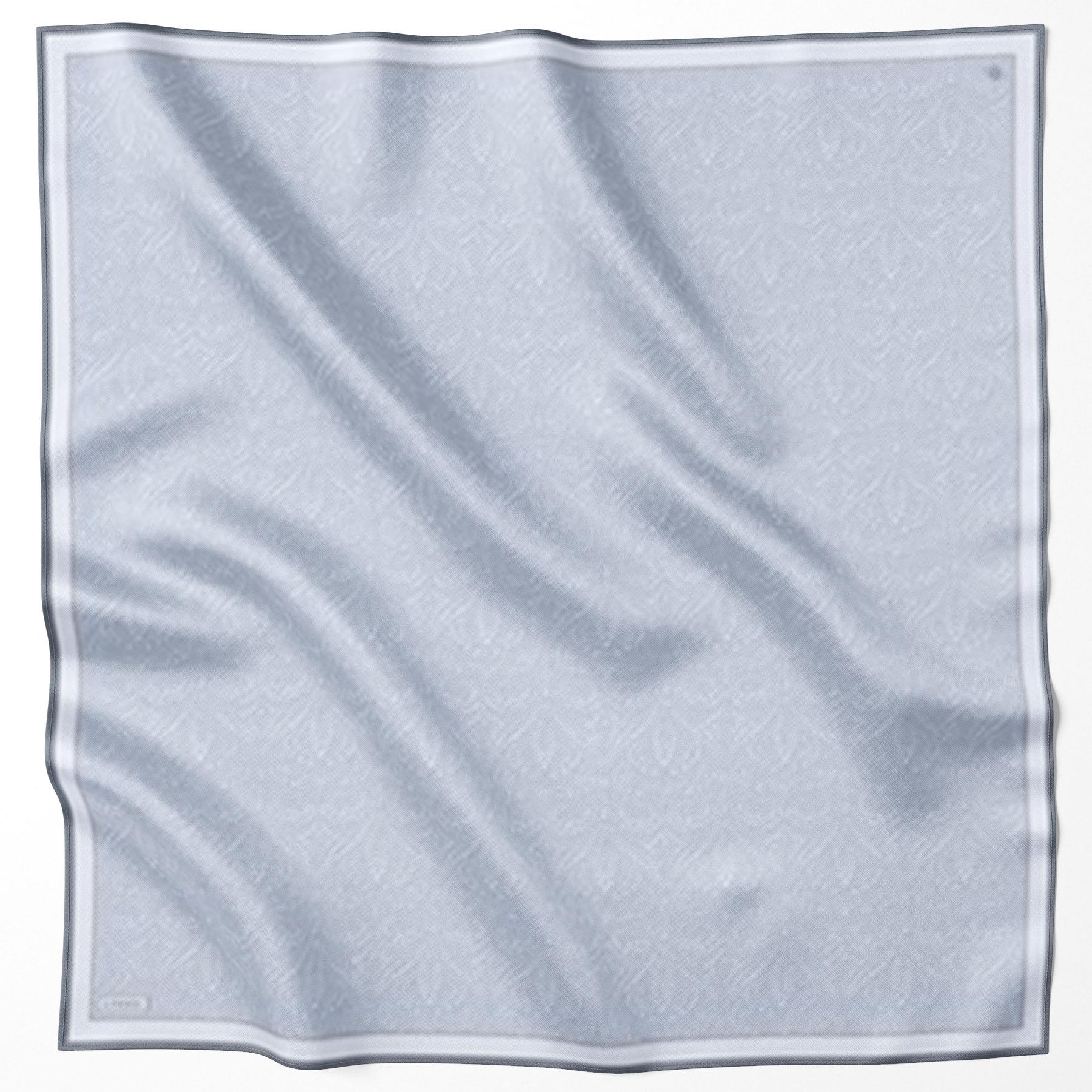 Armine Silk Scarf 2024/2025 Fall-Winter - 9246D-05 - Twill