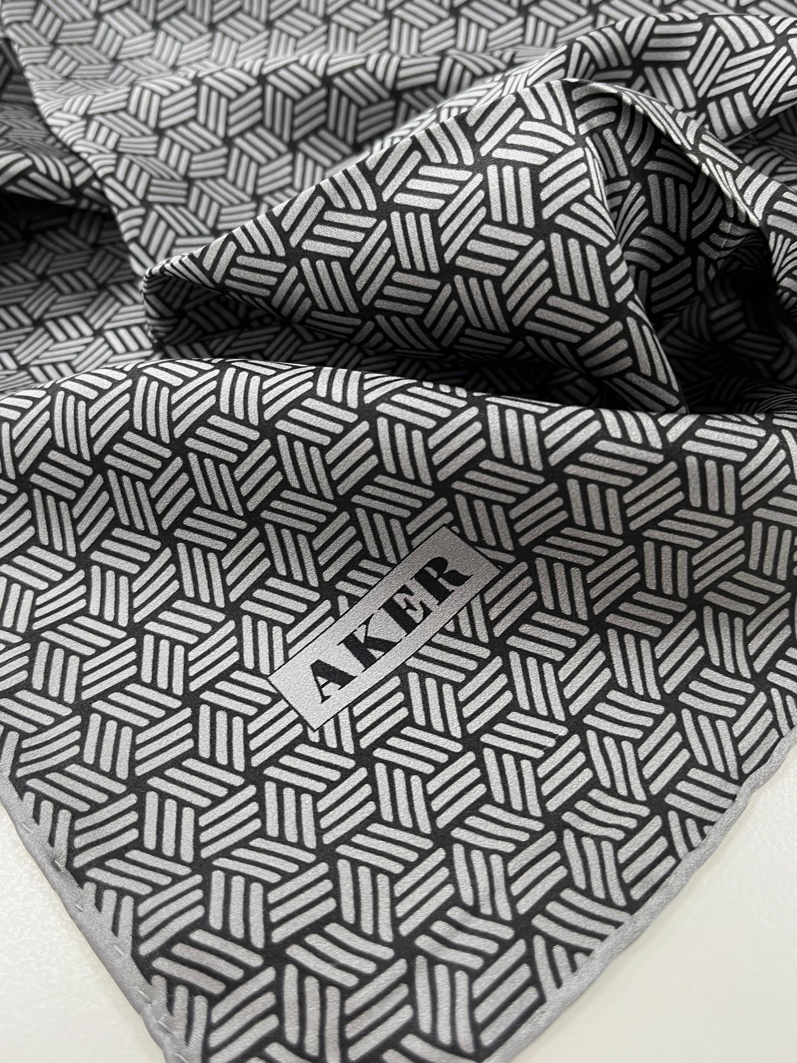 Aker Silk Scarf - 2024/2025 Fall-Winter - 8911713-971 - Twill Silk