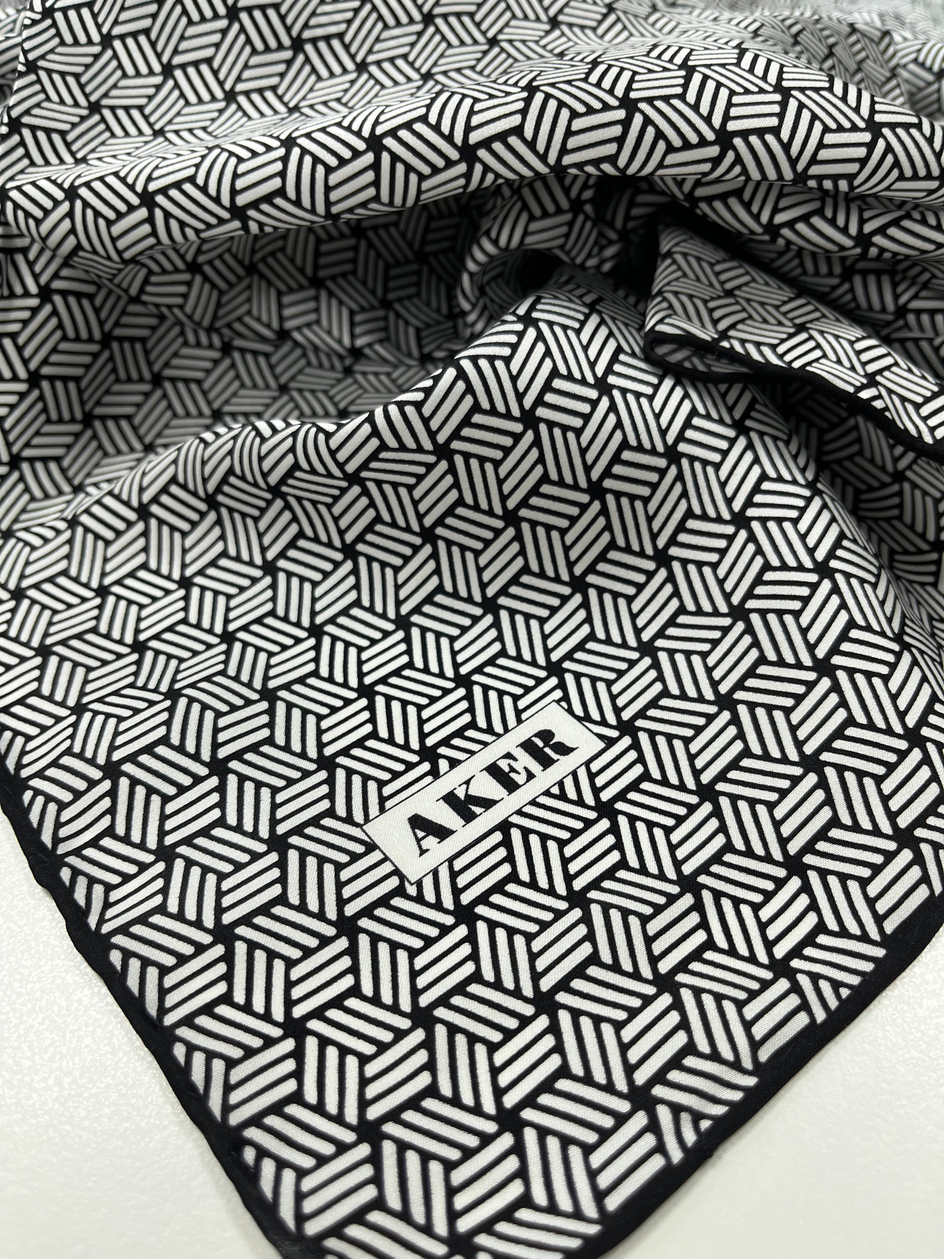 Aker Silk Scarf - 2024/2025 Fall-Winter - 8911713-911 - Twill Silk