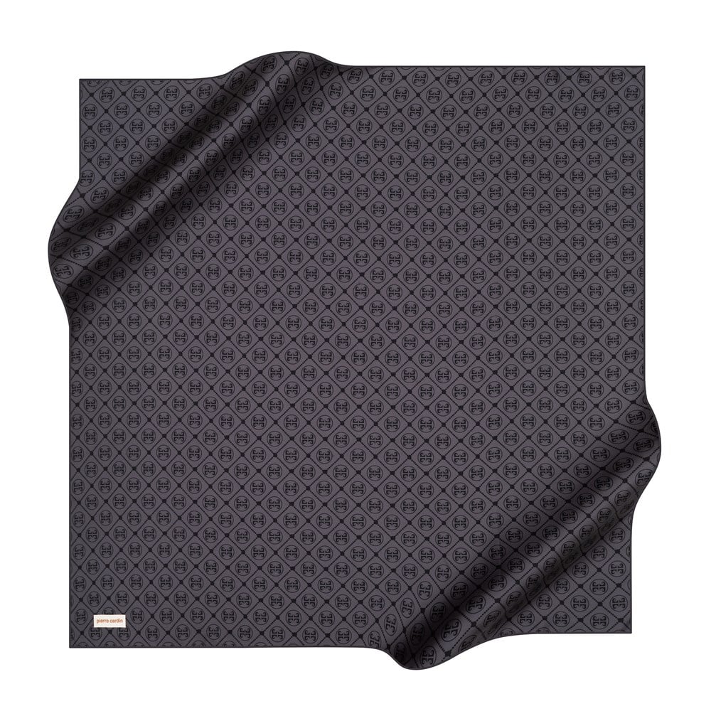 Pierre Cardin Silk Scarf - 2022/2023 Fall-Winter - 8631438-971 - Twill