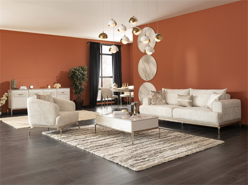 BELİS KOLTUK TAKIMI