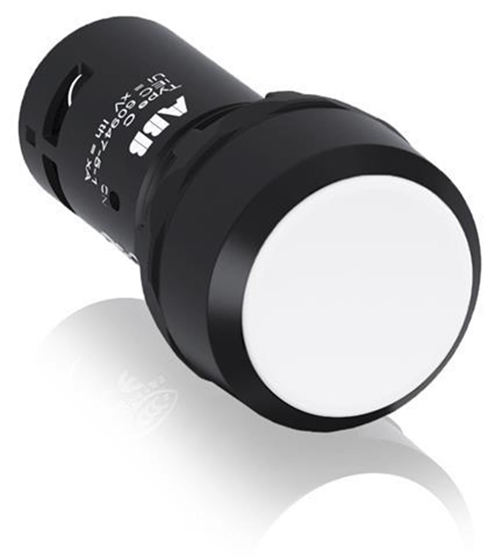 CP2-10W-10 ( Kalıcı buton )