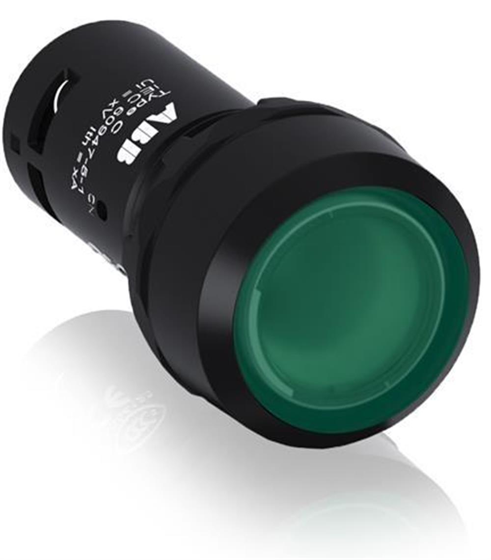 CP2-11G-10 ( Işıklı, kalıcı düz kafalı buton )