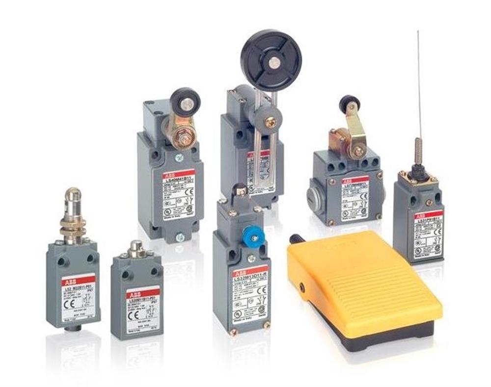 LS40M80D12-S  ( Emniyet nihayet şalterleri )