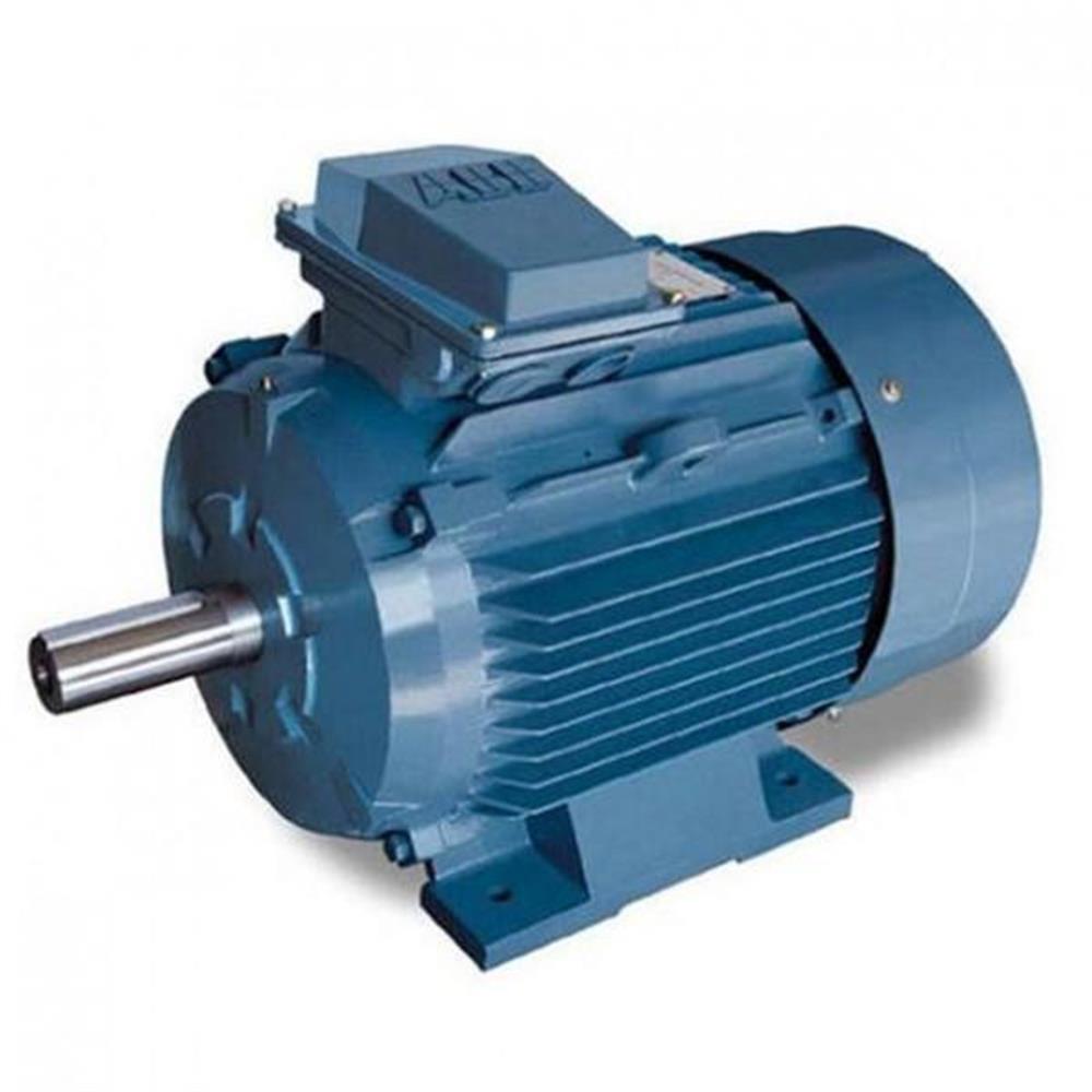M2BA 315SMA / 110 kW