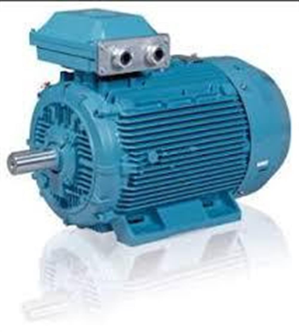 M2BA 315SMA / 110 kW
