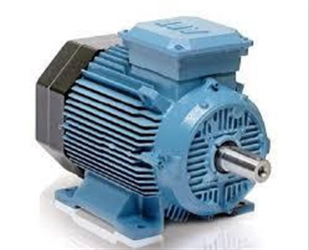 M2BA 315SMC / 110 kW