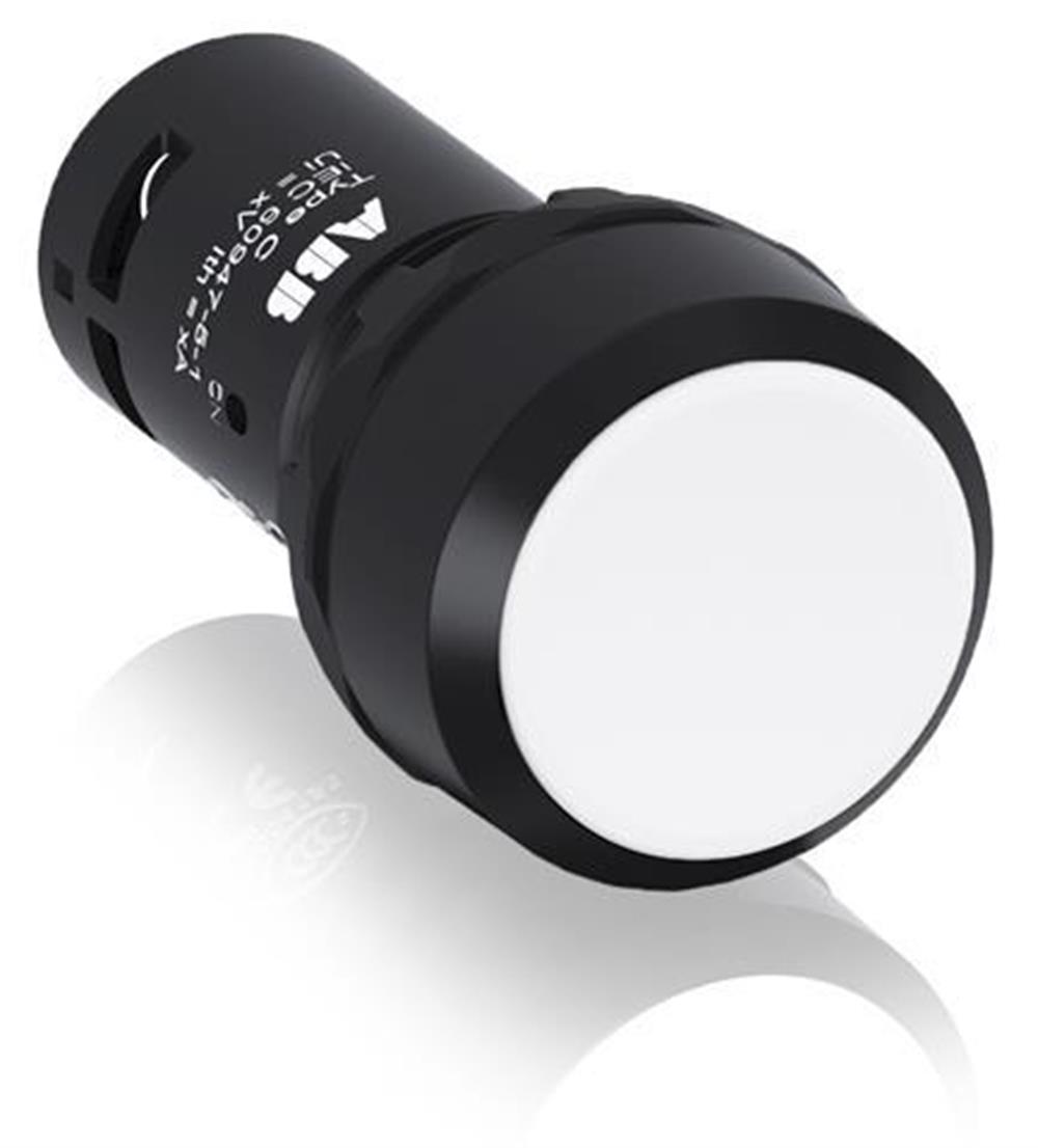 CP2-10W-10 ( Kalıcı buton )