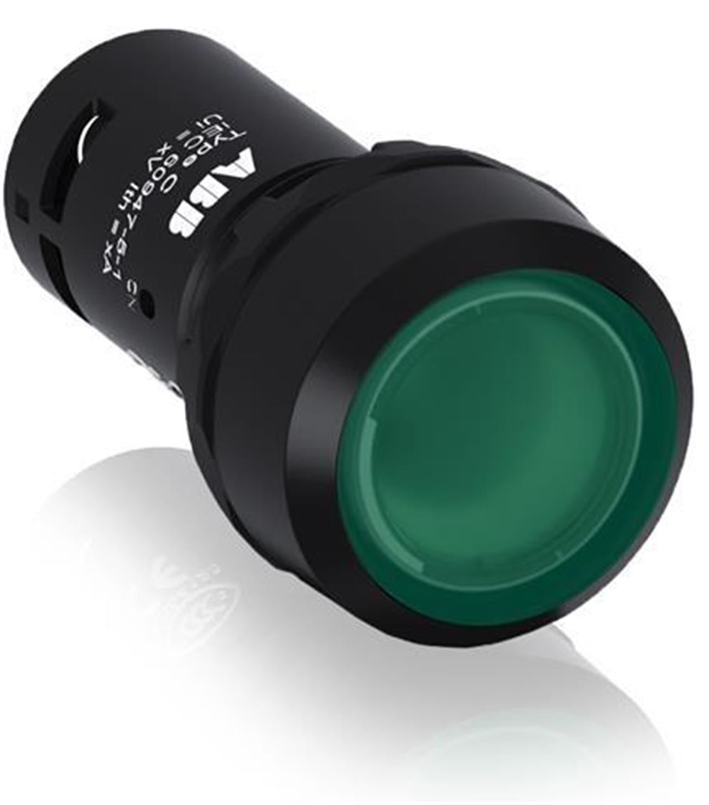 CP2-13G-10 ( Işıklı, kalıcı düz kafalı buton )