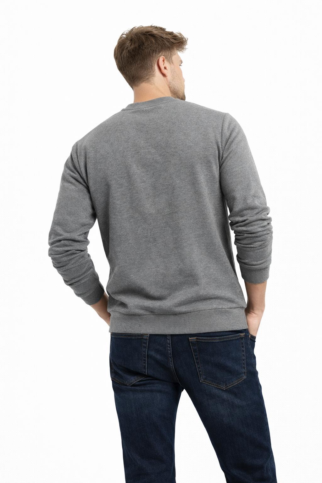 Erkek Bisiklet Yaka Regular Fit 3 İplik Pamuklu Antrasit Sweatshirt