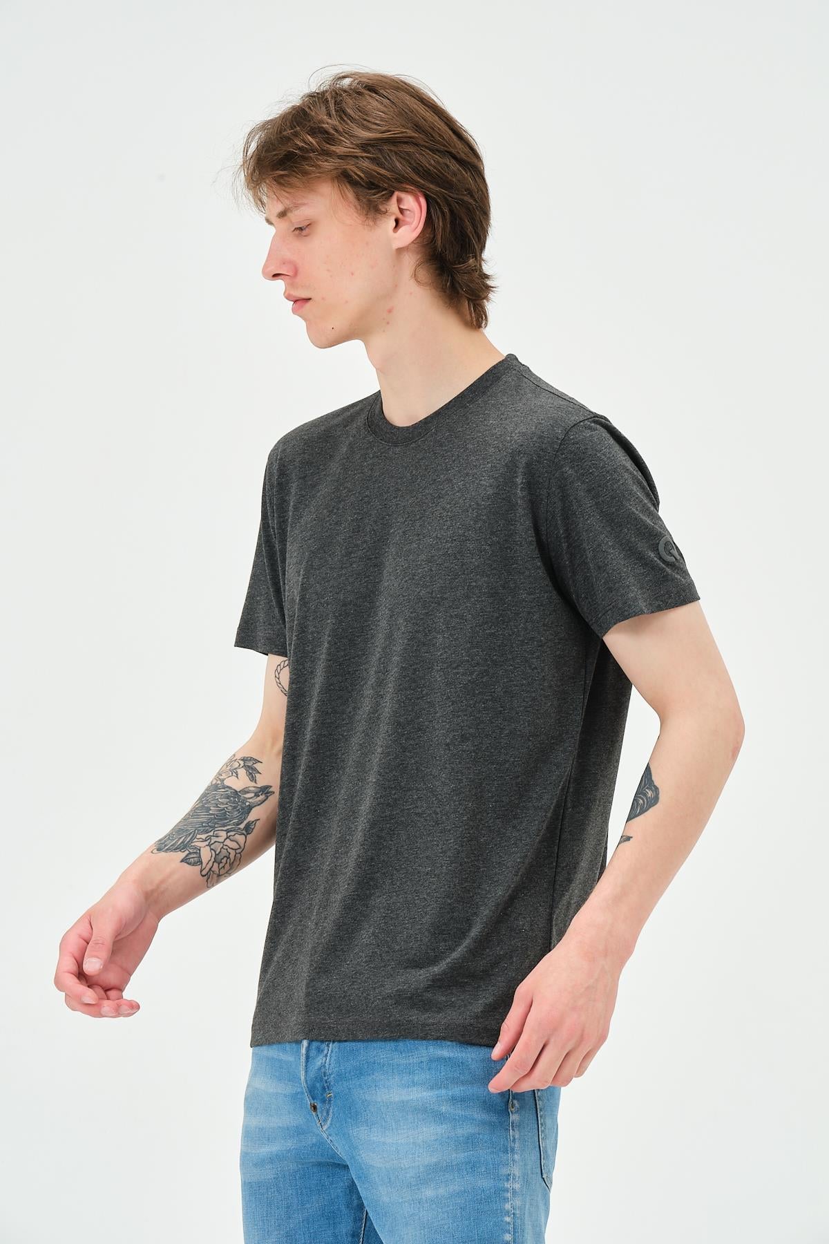 Erkek Bisiklet Yaka Regular Kalıp T-shirt Antrasit