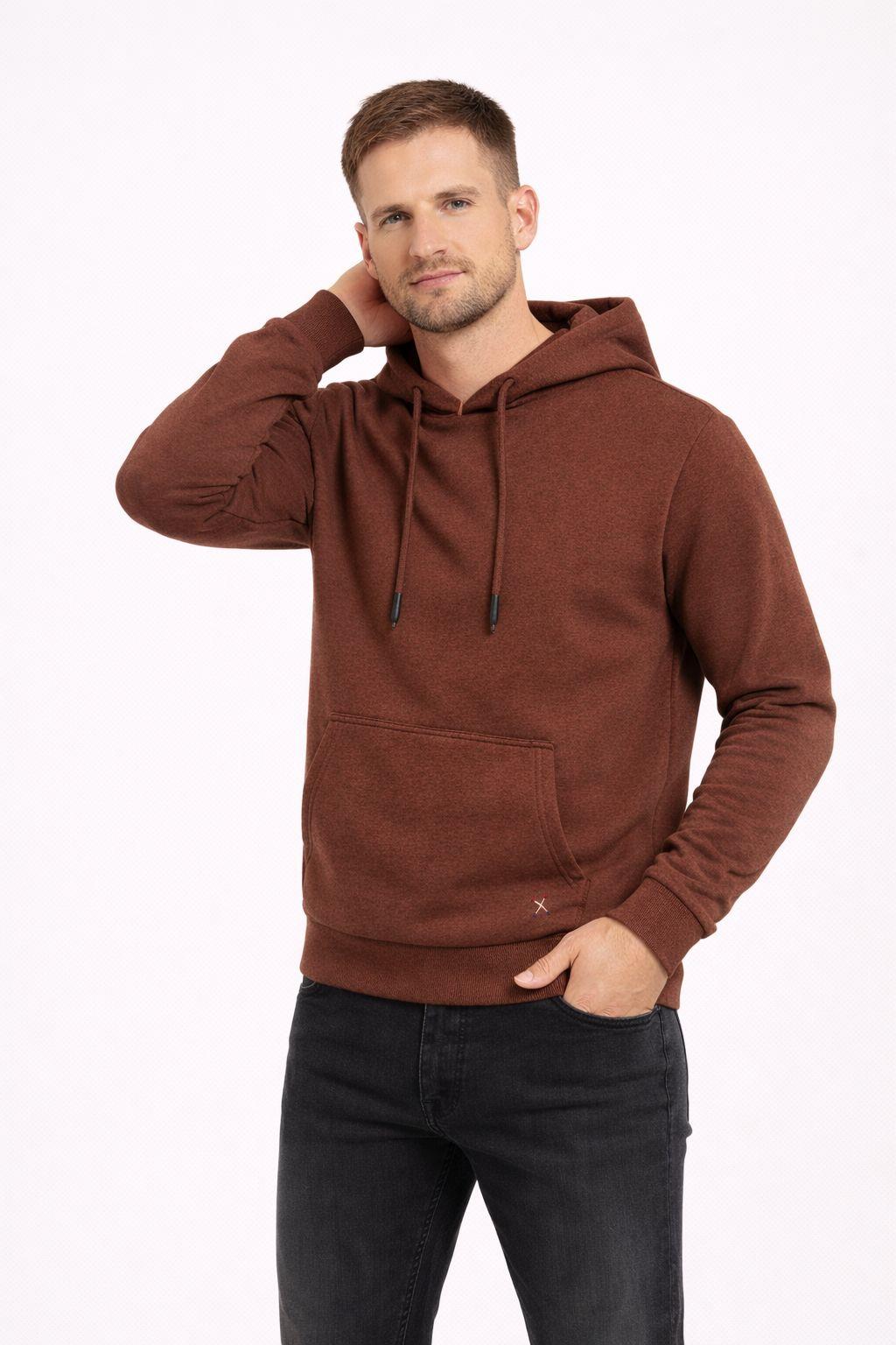 Erkek Kapüşonlu 3 İplik İçi Şardonlu Nakışlı Sweatshirt Kahverengi