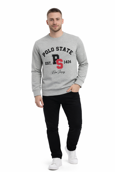 Erkek 3 İplik Şardonsuz Pamuklu Regular Fit Baskılı Bisiklet Yaka Gri Sweatshirt