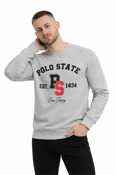 Erkek 3 İplik Şardonsuz Pamuklu Regular Fit Baskılı Bisiklet Yaka Gri Sweatshirt