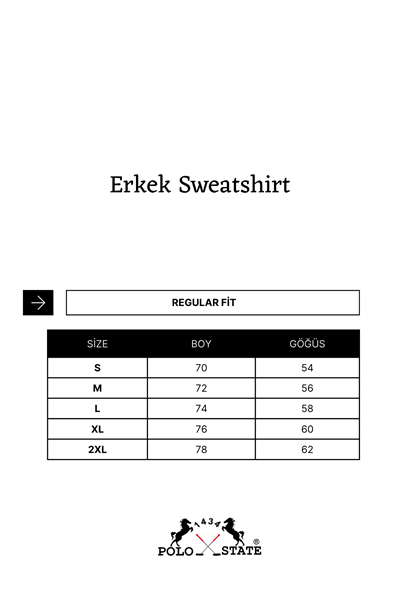 Erkek 3 İplik Şardonsuz Pamuklu Regular Fit Baskılı Bisiklet Yaka Mavi Sweatshirt