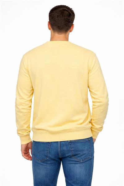 Erkek Bisiklet Yaka Regular Fit 3 İplik Pamuklu Sarı Sweatshirt