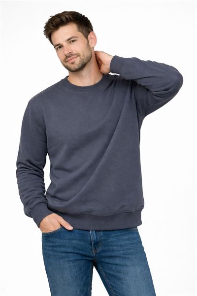 Erkek Bisiklet Yaka Regular Fit 3 İplik Pamuklu Füme Sweatshirt