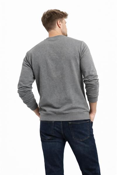 Erkek Bisiklet Yaka Regular Fit 3 İplik Pamuklu Antrasit Sweatshirt