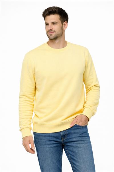 Erkek Bisiklet Yaka Regular Fit 3 İplik Pamuklu Sarı Sweatshirt